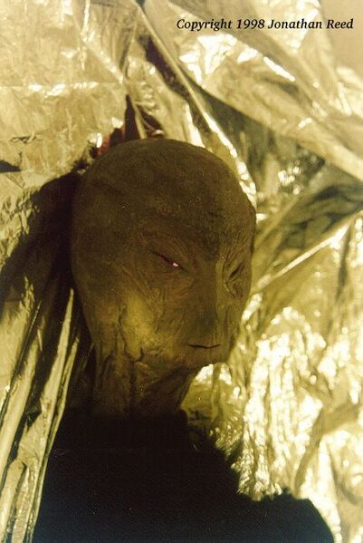 File:Freddy head Reed examination.jpeg
